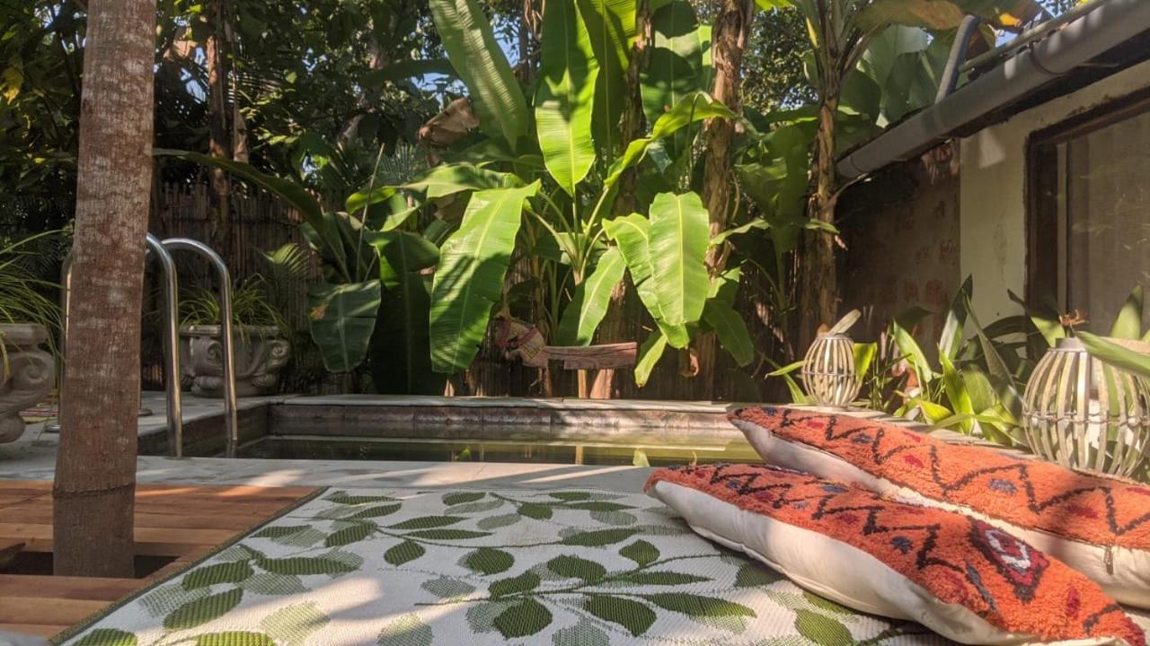 Sunsets And Palm Trees Bed & Breakfast *