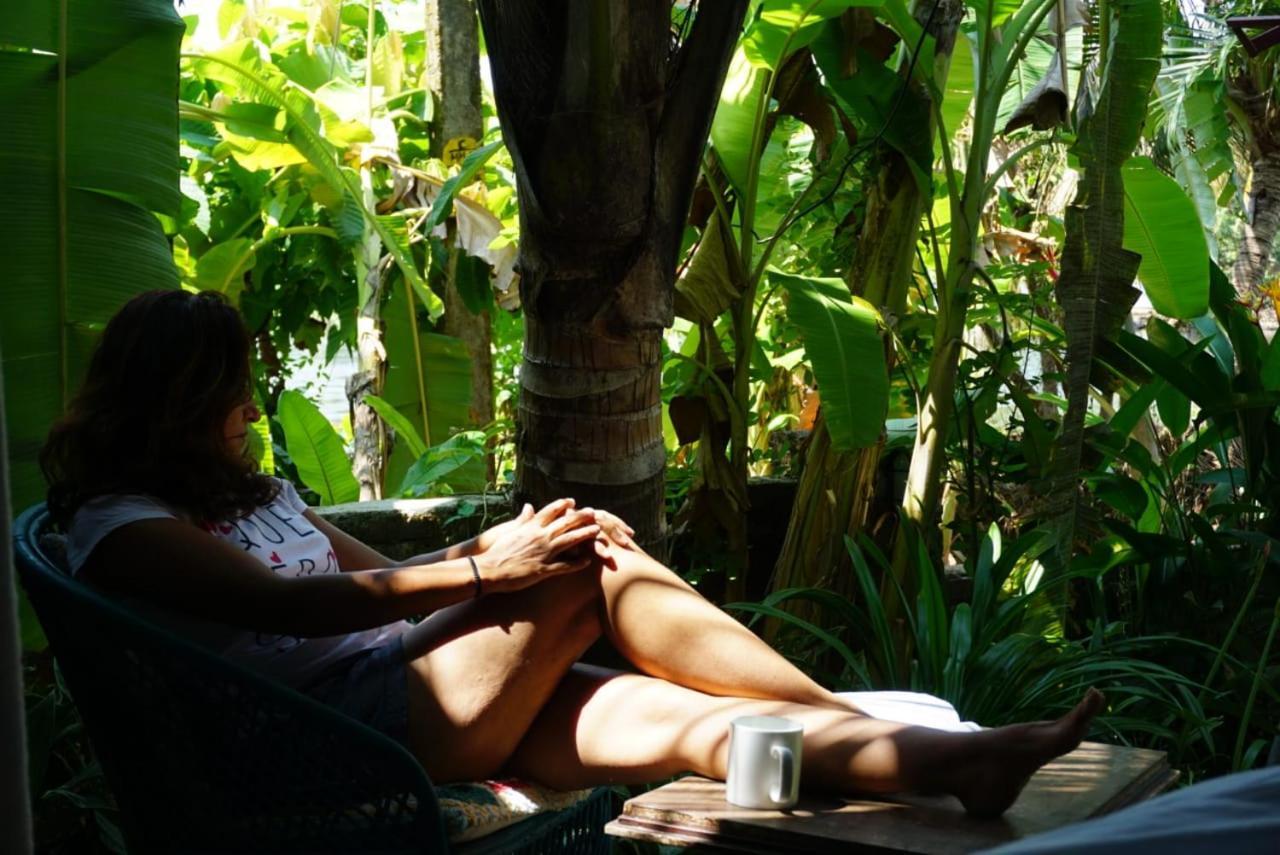 Sunsets And Palm Trees Bed & Breakfast